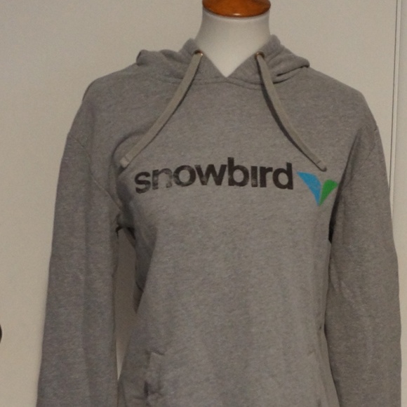 Snowbird Hoodie -Next Level Apparel. Size S. - Picture 1 of 10